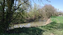 Le Sevron à Varennes-Saint-Sauveur, non loin du bourg.