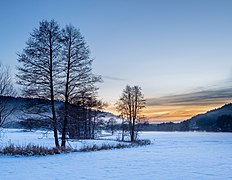 Truppachtal Erlen Schnee-20190204-RM-173136