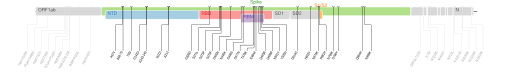 Les mutations du variant Omicron sur une carte génomique du SARS-CoV-2