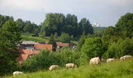 The centre of the main village