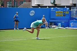 Aegon International 2016 (Day 2) DSC 1631 (27706029241).jpg