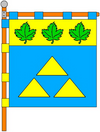 Bandeira de Novoiavorivsk