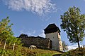 Fortified church of Ţapu