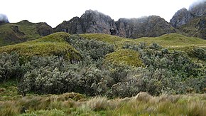 Cerro Puntas