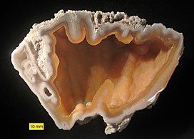 A piece of translucent pink agatized coral, with a "ruffled" appearance along the top edge