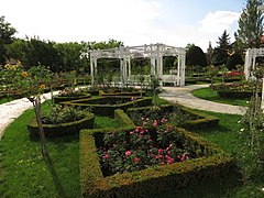 Parcul Rozelor - panoramio (3).jpg