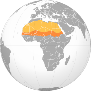 Carte de l'Afrique, avec le Sahara en beige et le Sahel en orange.