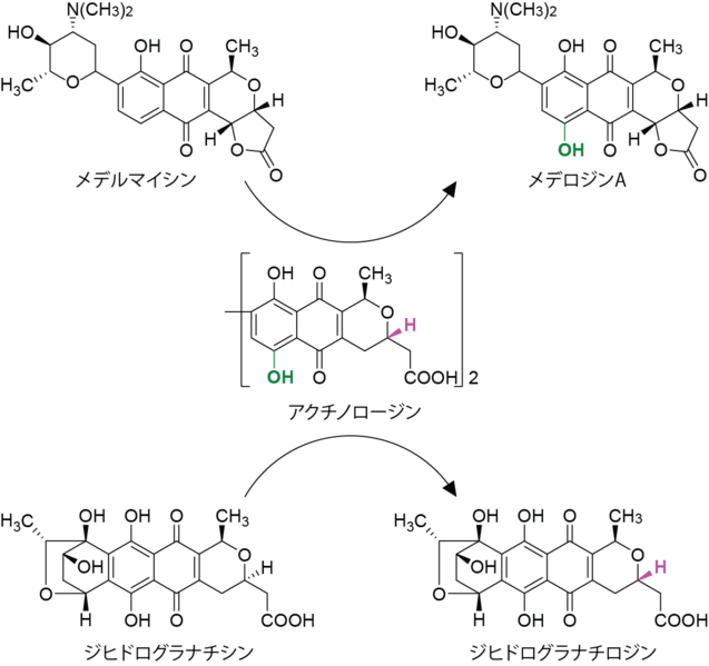 File:CombBioSyn Fig 1.png