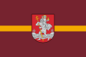 Bandeira oficial de Vilnius