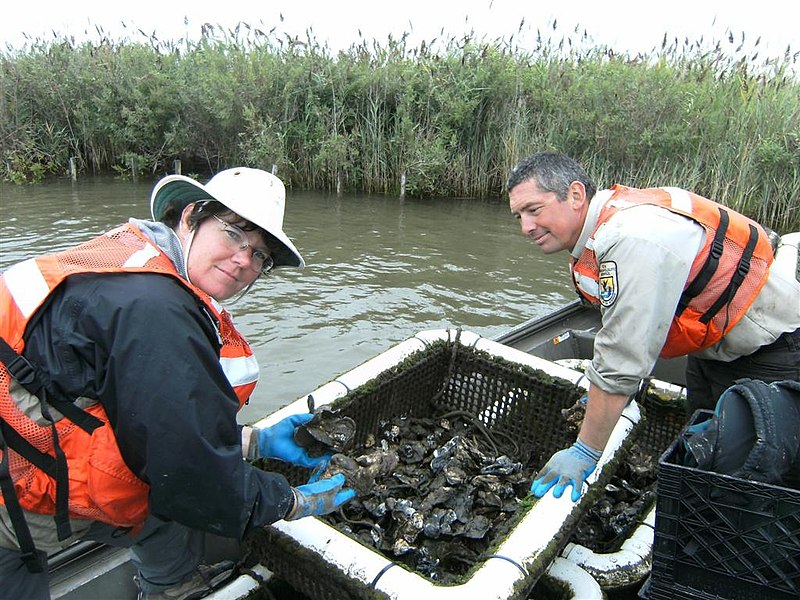 File:Suzanne Baird and Matt Whitbeck (8516229266).jpg