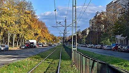 Po lewej Park Szwedzki.