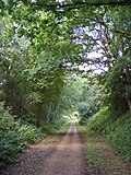 Thumbnail for File:Marriott's Way footpath - geograph.org.uk - 2494626.jpg