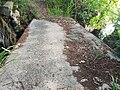 Ancien pont du chemin de fer sucrier de Beautiran.