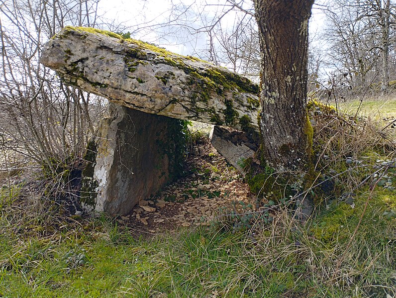 File:Dolmen Pierre Levée 9.jpg