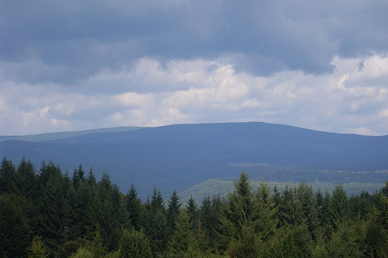 File:Görgényi -havasok - Munți Görgény - Görgényi snowy - panoramio.jpg