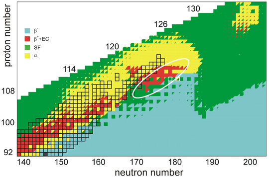 Predicted half-lives (top) and decay modes (bottom) of superheavy nuclei. The line of synthesized proton-rich nuclei is expected to be broken soon after Z = 120, because of half-lives shorter than 1 microsecond from Z = 121, the increasing contribution of spontaneous fission instead of alpha decay from Z = 122 onward until it dominates from Z = 125, and the proton drip line around Z = 130. The white rings denote the expected location of the island of stability; the two squares outlined in white denote 291Cn and 293Cn, predicted to be the longest-lived nuclides on the island with half-lives of centuries or millennia.[64] The black square near the bottom of the second picture is uranium-238, the heaviest confirmed primordial nuclide (a nuclide stable enough to have survived from the Earth's formation to the present day).