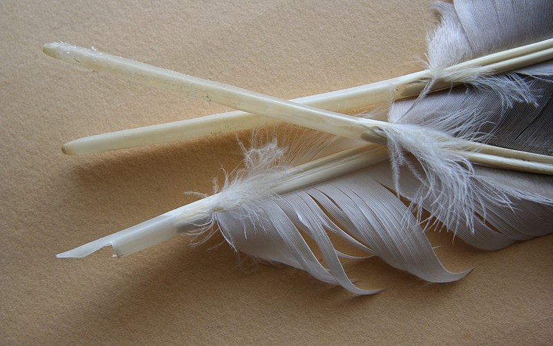 File:3quills.jpg