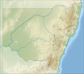 Berrigan is located in New South Wales