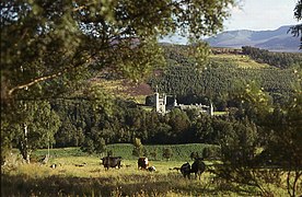 Le château et sa proche prairie