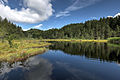 Egelsee am Millstätter See-Rücken bei Spittal/Drau