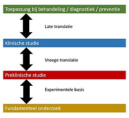 Verschillende ontwikkelingsfasen