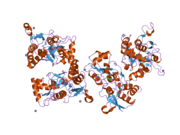 2i3v: Measurement of conformational changes accompanying desensitization in an ionotropic glutamate receptor: Structure of G725C mutant