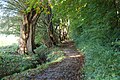 Pot v južnem Limburgu Ravensbos