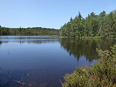 Surketjarnen from S Vastergotland Sweden 1June2023.jpg