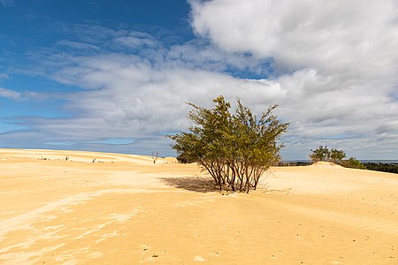 Wilsons Promontory National Park (AU), Big Drift (2019)