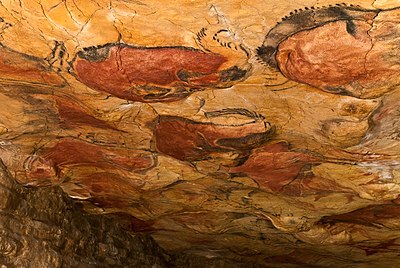 Vue générale du plafond des polychromes de la grotte d'Altamira.