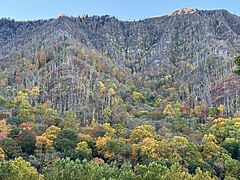 Newfound Gap Road - October 2023 - Sarah Stierch 02.jpg