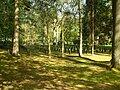 Soldatengräber Waldfriedhof