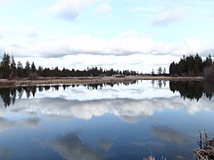 Calm waters - panoramio.jpg