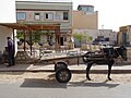 Donkey cart, 2016