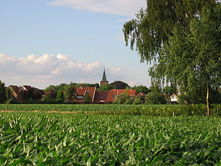 Gezicht op Rossum vanaf Lemselo