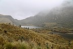 Laguna Ciega