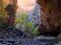 Image 6 Virgin River Narrows Photo credit: Jon Sullivan, pdphoto.org The Virgin River Narrows in Zion National Park, located near Springdale, Utah, is a 16-mile long slot canyon along the Virgin River. Recently rated as number five out of National Geographic's Top 100 American Adventures, it is one of the most rewarding hikes in the world. More selected pictures