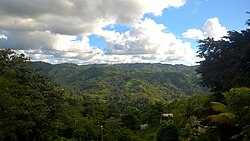 A view of Palmarito from Negros in Corozal