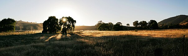 Dawn at Swifts Creek