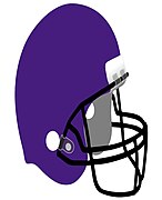 FGPurple Helmet.jpg