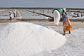 42 Salt workers of Marakkanam uploaded by Dey.sandip, nominated by Dey.sandip,  15,  3,  0