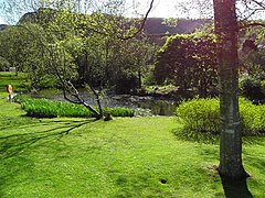 Belfast Zoo - geograph.org.uk - 1848157.jpg