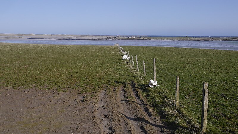 File:Fields, How - geograph.org.uk - 5750048.jpg