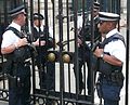 Policiais armados do DPG nos portões da Downing Street, 2014.