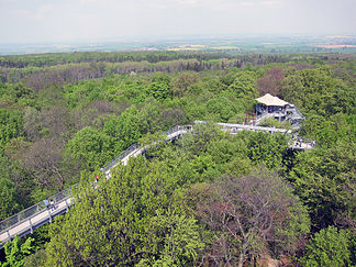 Blick über den Hainich vom Baumkronenpfad