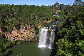 Dangar Falls at Dorrigo New South Wales