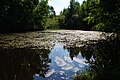 Pond in Katowice-Giszowiec