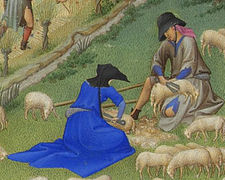 Scène de tonte, extrait des Très Riches Heures du duc de Berry, XVe s.