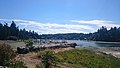 Docks and forest clearing on Bainbridge Island