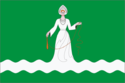 Flag of Drezna